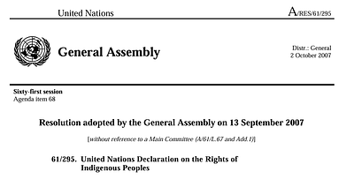 United Nations Declaration on the Rights of Indigenous Peoples